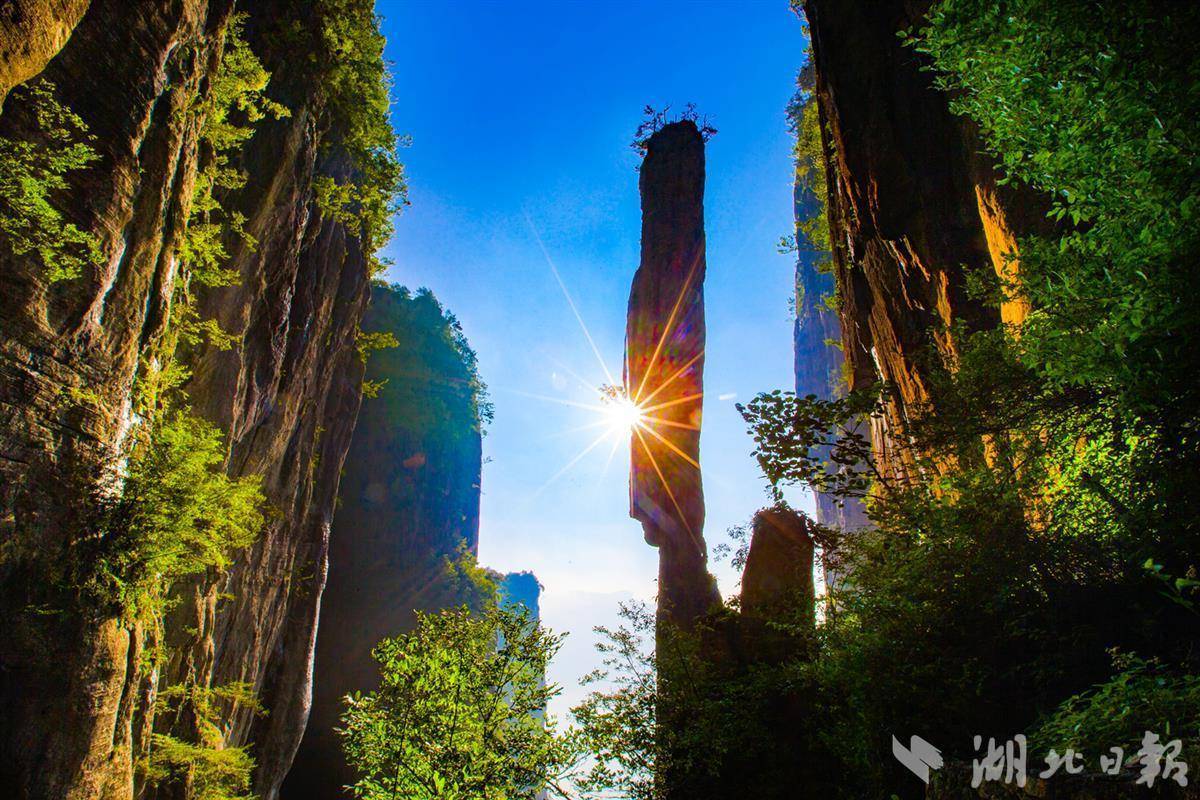 太阳娱集团登录网站